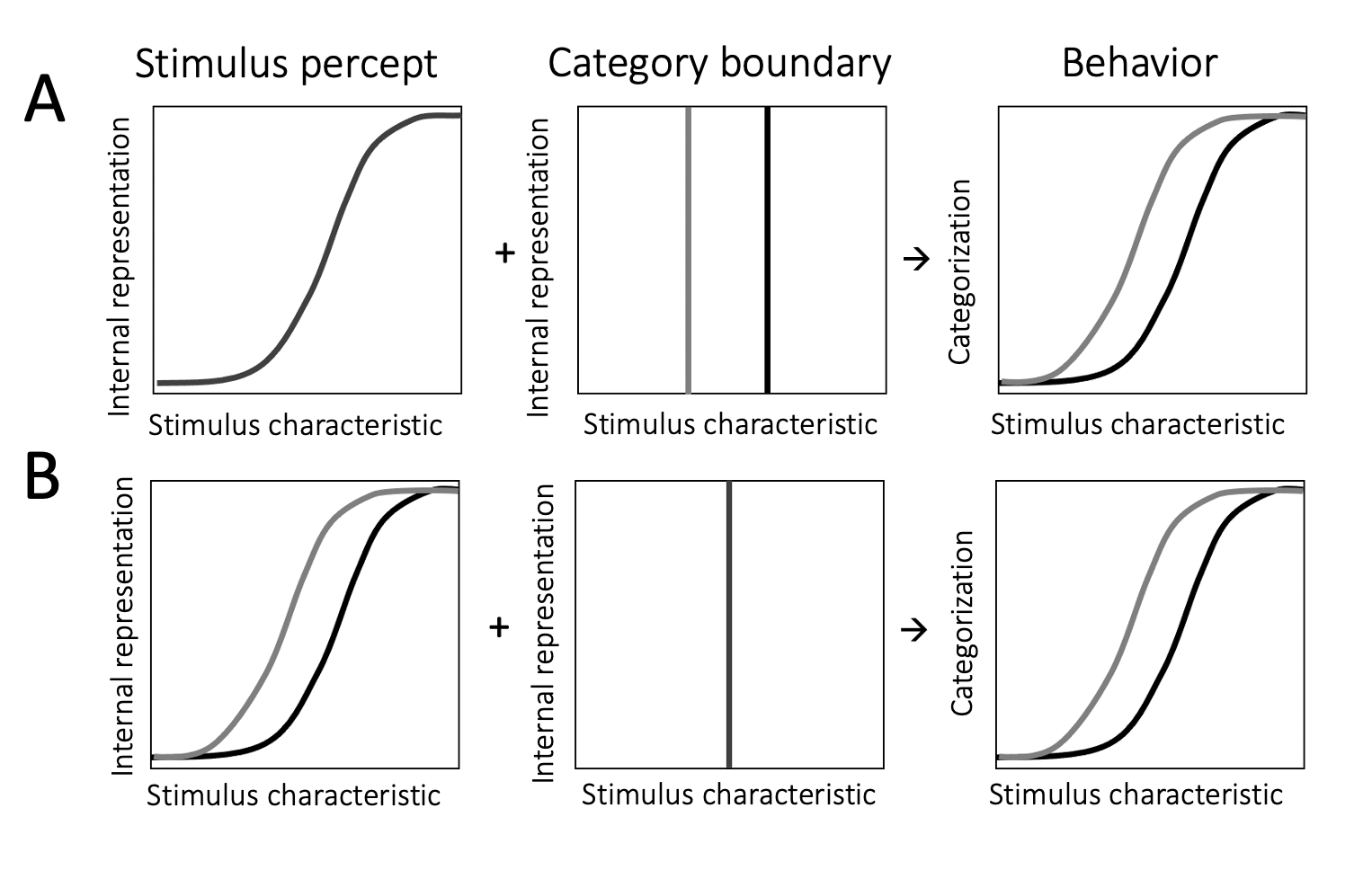 Possible sources of context dependence. $\textbf{A:}$ Participants' internal representation (left panel) of the stimulus is stable across contexts. Their representation of the category boundary (middle panel), however, changes such that it is lower in a context dominated by low stimulus property values (grey line) and higher in a context dominated by high stimulus property values (black line). This may be driven by a Bayesian process incorporating the prior distribution of stimulus characteristics in a noisy representation of the category boundary. It can lead to the observed context dependence in categorization decisions (right panel). $\textbf{B:}$ Participants' internal representation of stimulus property space shifts across contexts (left panel). This change may be driven by neural adaptation to contextual levels of stimulation. Participants' representation of the category boundary, however, remains stable (middle panel). This can also lead to the observed context dependence in categorization decisions (right panel). Note that both of these two processes can occur at the same time and influence categorizations together.