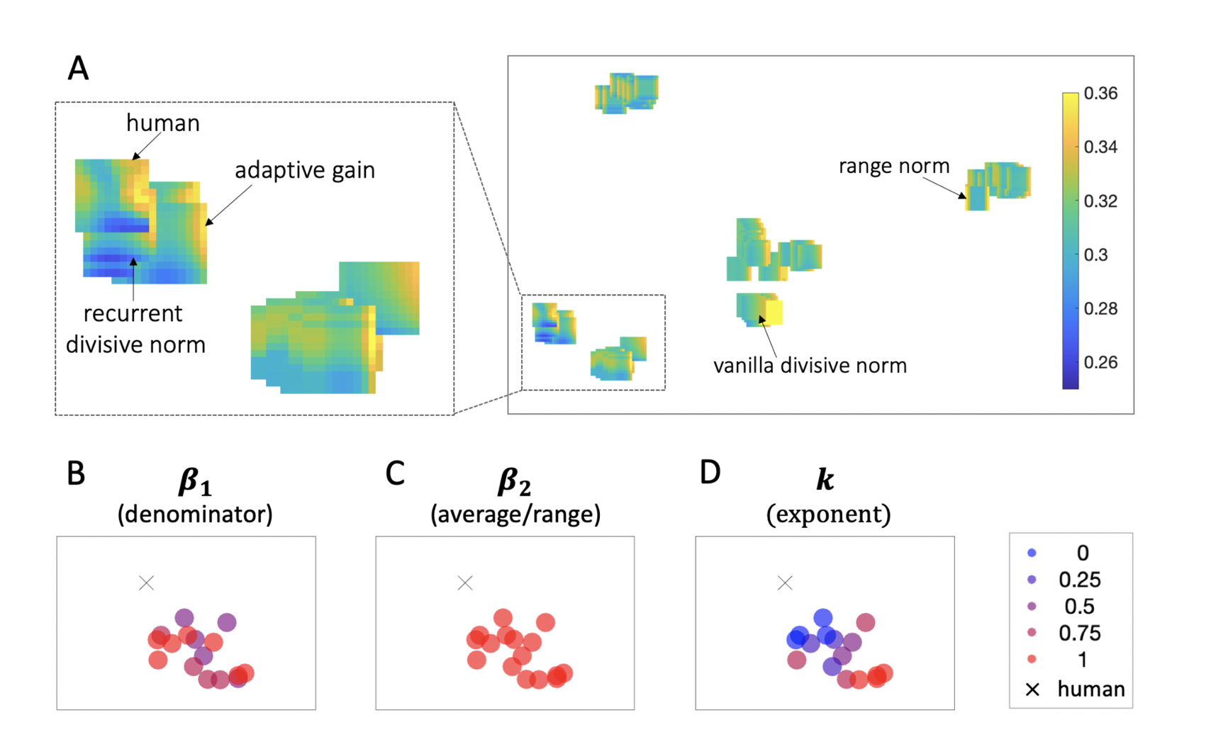 Charting decoy models. $\textbf{A:}$ Embedding space for normalization models of decoy effects. A $t$-distributed stochastic neighbour visualization of the maps of decoy influence produced by different variants of the grandmother model. Each map represents a variant of the grandmother model positioned in 2D space such that models with similar decoy influence patterns are nearby, while models with more different decoy patterns are further apart. Heat maps illustrate decoy influence. The rectangle on the left shows a zoomed in version of the denoted subset of embedding space. $\textbf{B-D:}$ These plots depict the zoomed in subset of embedding space presented above. Each model-produced decoy map is denoted as a dot and color coded to indicate parameter value: $\beta_1$ (panel B), $\beta_2$ (panel C), or $k$ (panel D). Human data is represented with a cross.