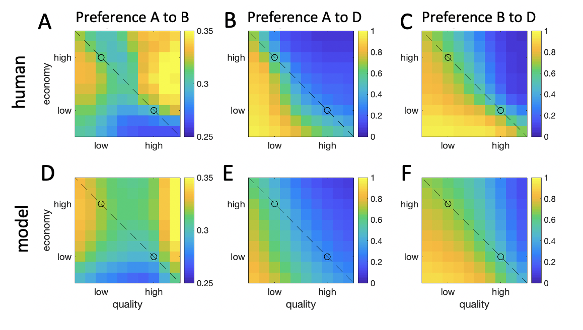 Map of decoy influence. $\textbf{A:}$ Decoy influence map showing $RCS_{ij}$ for A over B (left panels), A over D (middle panels) and B over D (right panels). Upper plots are the human data and lower plots are the same data for the simulated adaptive gain model (see below). The dashed line signals isopreference and the black circles are the targets A and B.