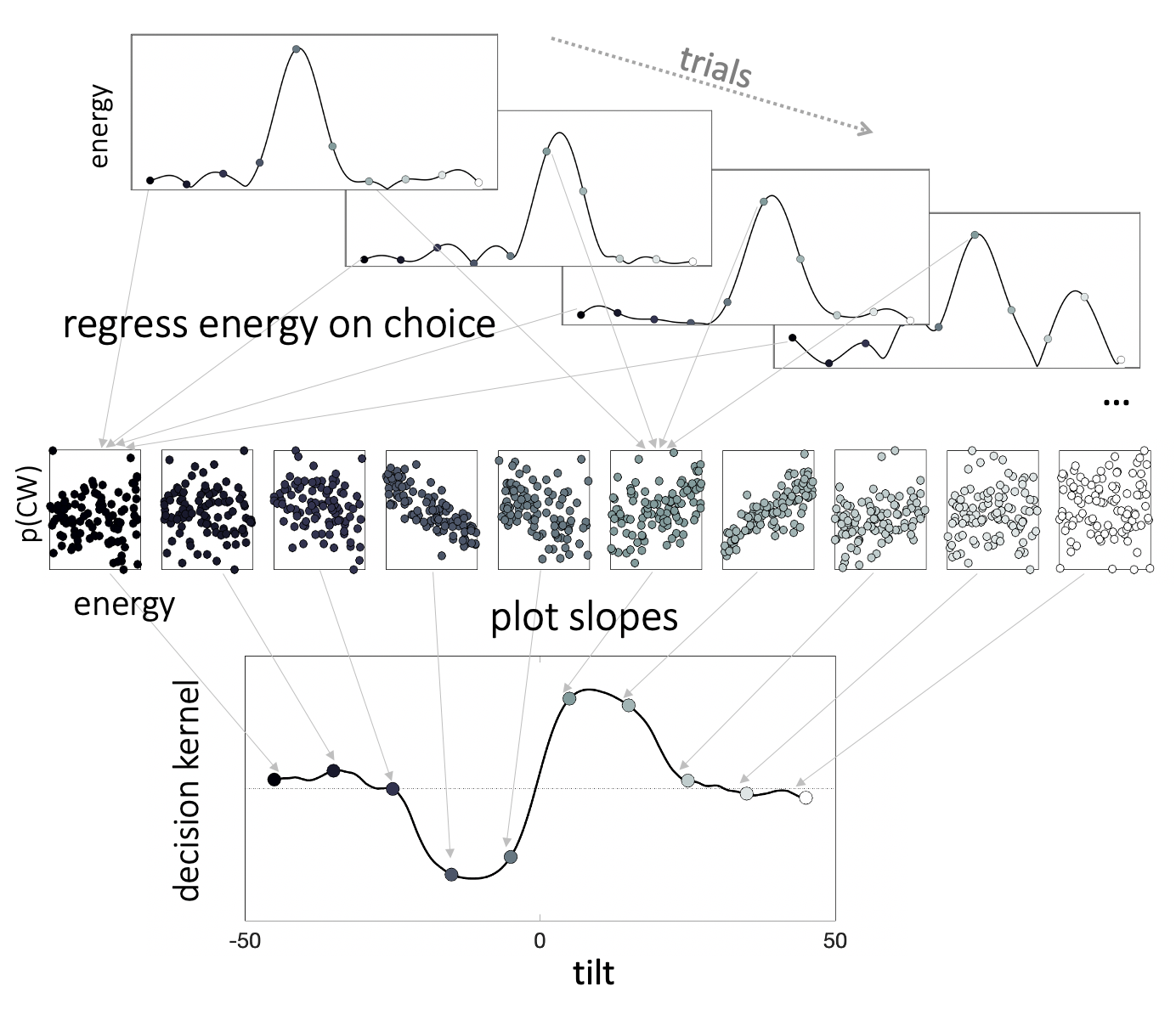 Decision kernels. We regressed choices ($p(CW)$) on $z$-scored stimulus energy via separate binomial regressions in each orientation bin. The resulting beta coefficients make up the decision kernel. Thus, the decision kernel indexes the relationship between energy at a given orientation and choice. Positive kernel values suggest that the more a stimulus resembles a Gabor patch of that orientation, the more likely is a participant to make a clockwise choice.