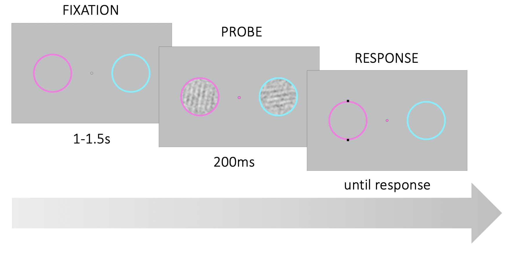 Trial structure followed Experiment 1. However, the two colored rings had different reference orientations. In the example here, the decision boundary for the pink ring was vertical, and horizontal for the cyan ring.