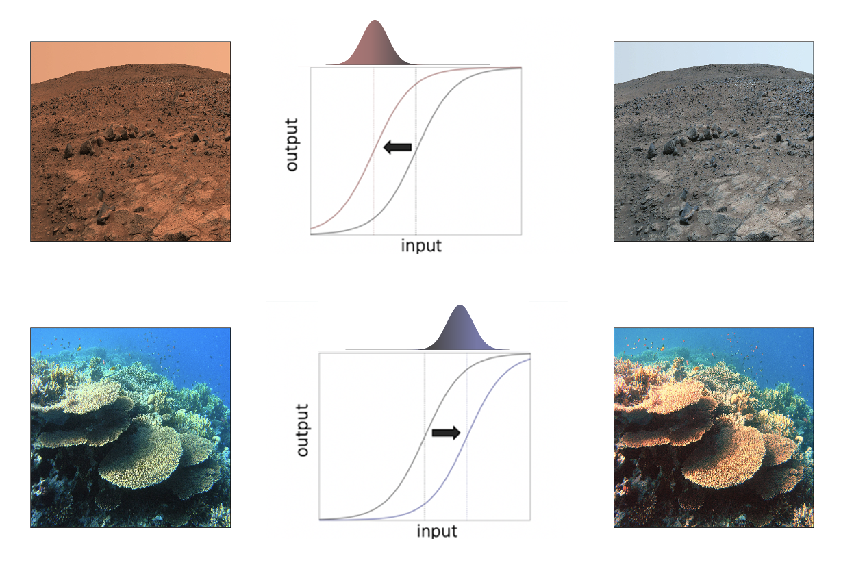 Color adaptation. The rightmost column illustrates how the surface of Mars and the sea would appear to a human observer adapted to the landscape of Earth. In the Martian scene, the landscape is dominated by red; in the sea scene -- by blue. The middle column illustrates a neural processing scheme which adaptively shifts the transducer function to track the mean of contextual stimulation (that is, red distribution for Mars; blue distribution for the sea). The leftmost column simulates the appearance of both scenes following adaptation. Both scenes appear more chromatically neutral (adaptive repulsion). Following adaptation to the Martian context, the visual system is fine-tuned to distinguish different shades of red; following adaptation to the sea context -- sensitivity is boosted for change detection in blues. Figure concept adapted from Webster 2015.