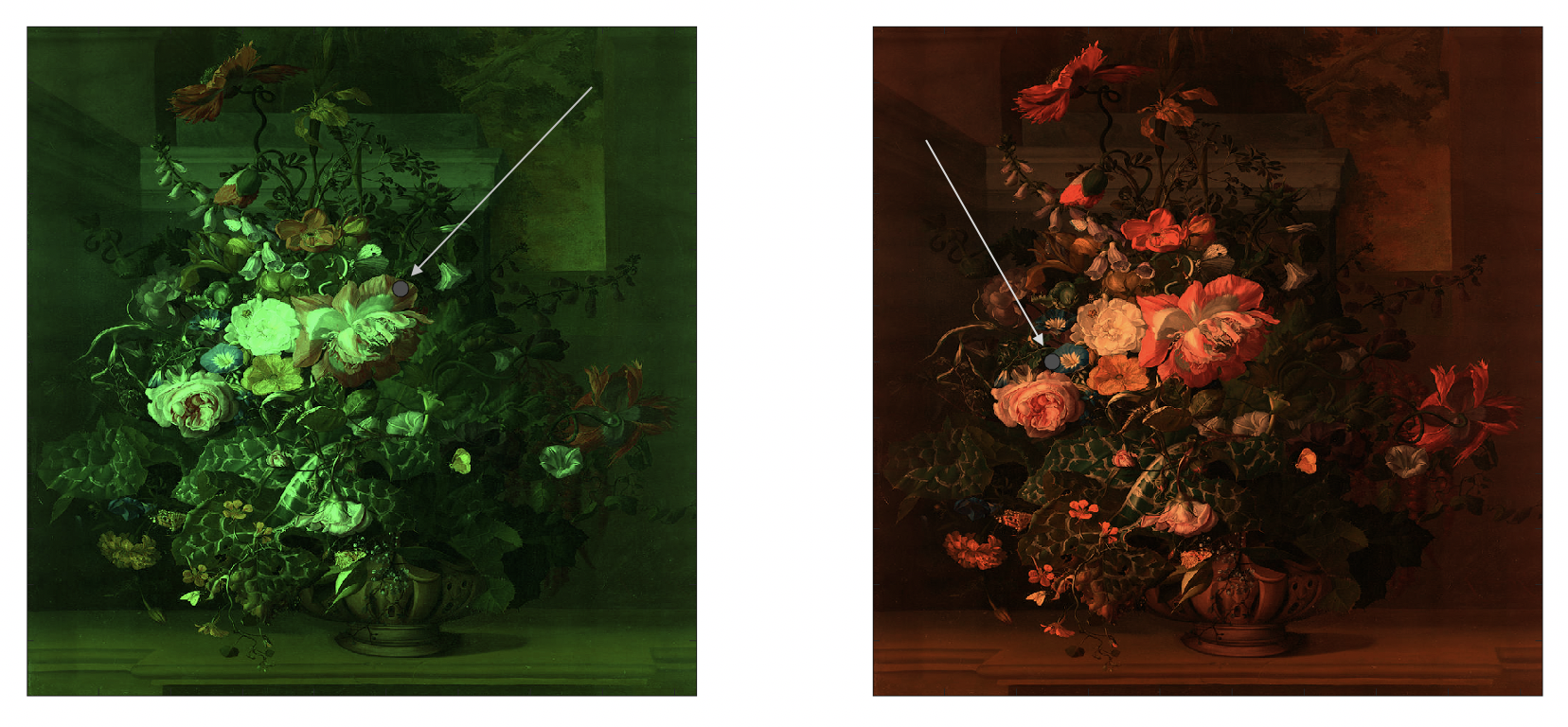 Color constancy. On the painting on the left, the circled region on the demarcated flower petal appears red, but is actually gray. On the painting on the right, the circled region on the demarcated flower petal appears blue, but is also gray. Painting by Rachel Ruysch, ca. 1680.